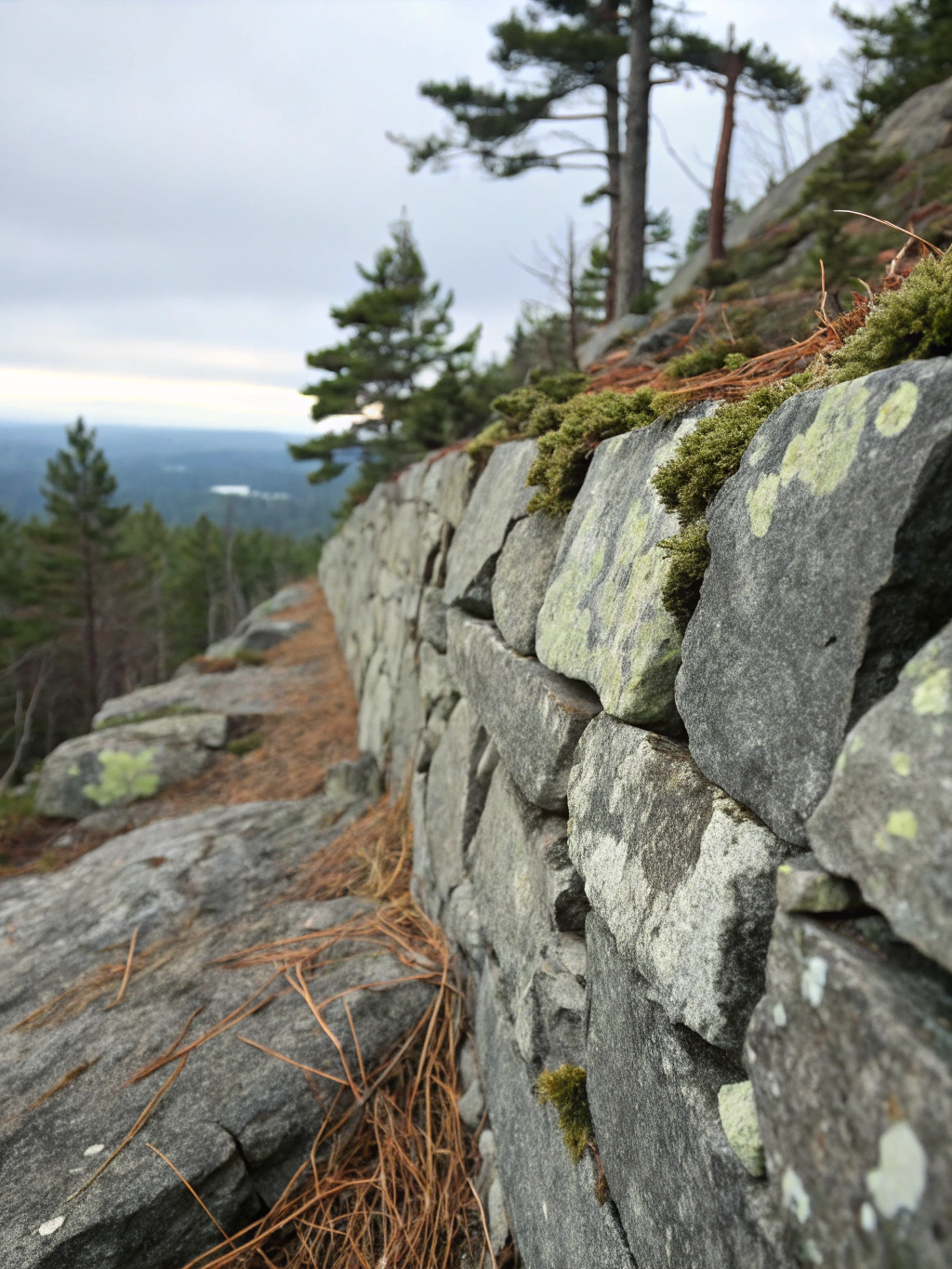 Detaillierte Textur eines massiven Bergsteins